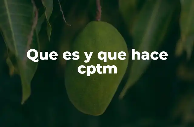 Que es y que Hace Cptm