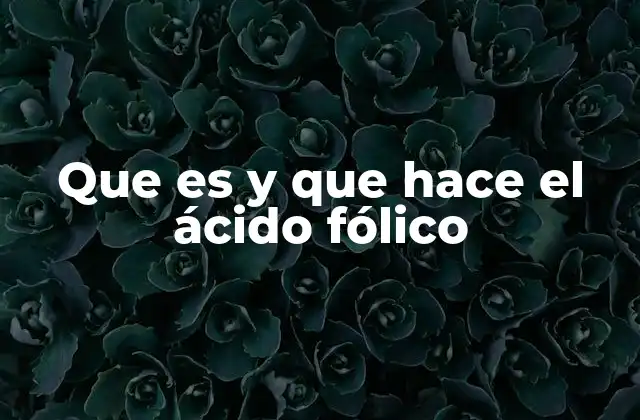 Que es y que Hace el Ácido Fólico