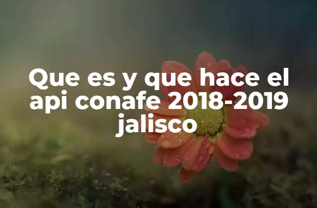 Que es y que Hace el Api Conafe 2018-2019 Jalisco