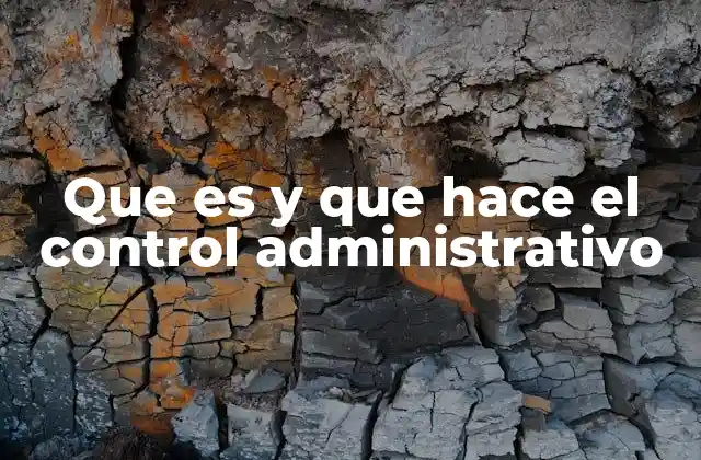 Que es y que Hace el Control Administrativo