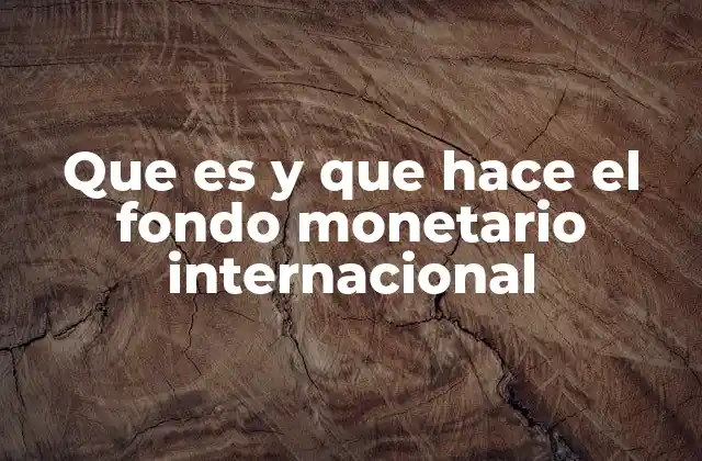 Que es y que Hace el Fondo Monetario Internacional