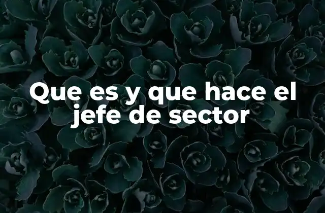 Que es y que Hace el Jefe de Sector