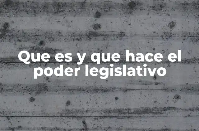 Que es y que Hace el Poder Legislativo