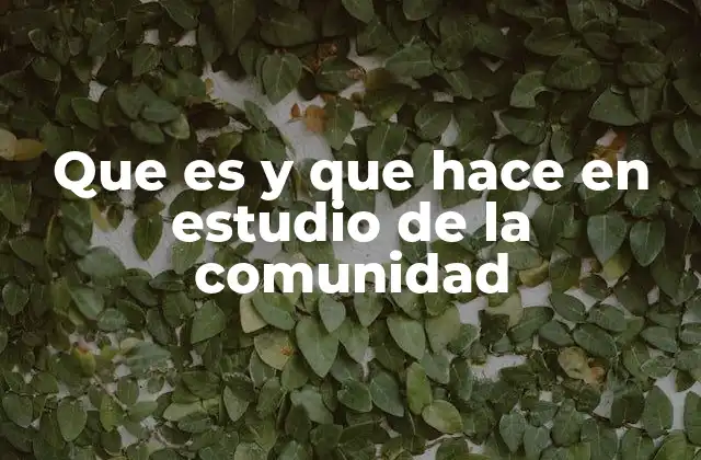 Que es y que Hace en Estudio de la Comunidad 2 El enfoque participativo en el estudio de la comunidad