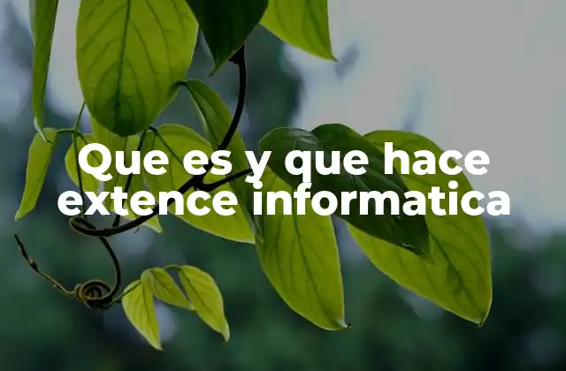 El enfoque tecnológico de Extence Informática