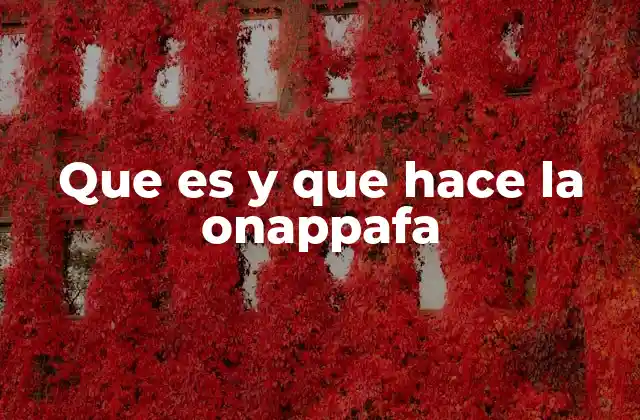 Que es y que Hace la Onappafa