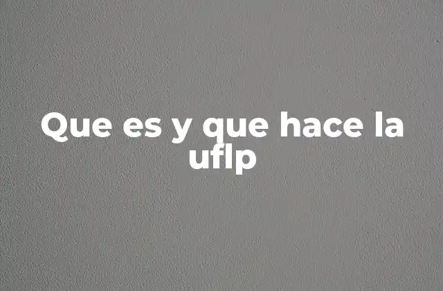 Que es y que Hace la Uflp