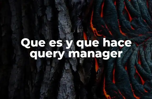 Que es y que Hace Query Manager