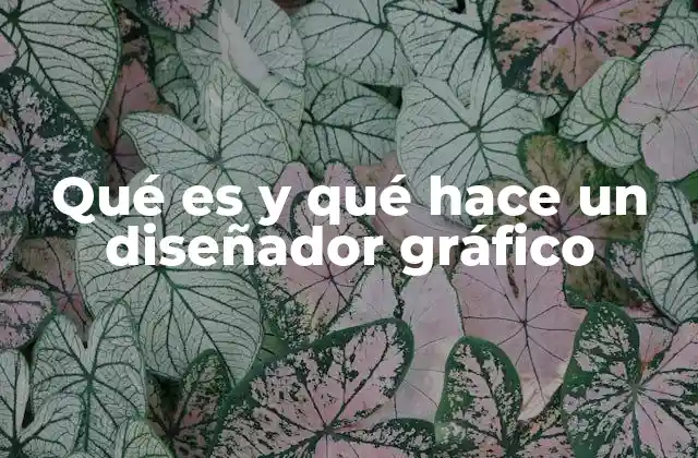 Qué es y Qué Hace un Diseñador Gráfico