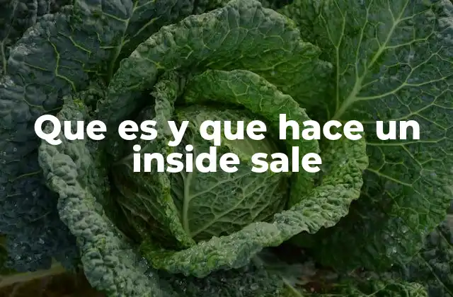 Que es y que Hace un Inside Sale