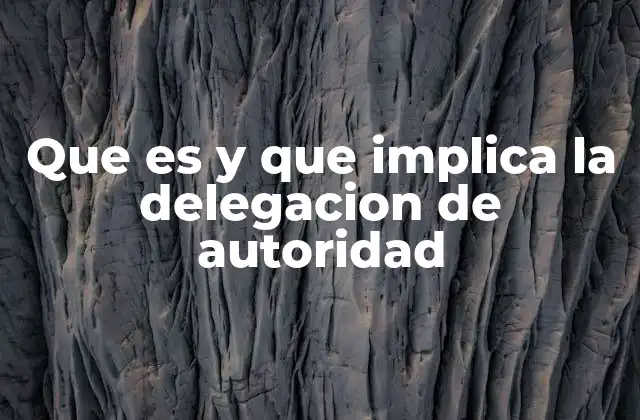 Que es y que Implica la Delegacion de Autoridad