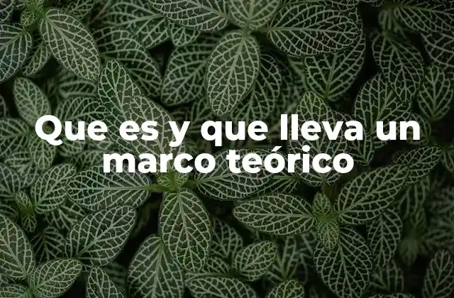 Que es y que Lleva un Marco Teórico
