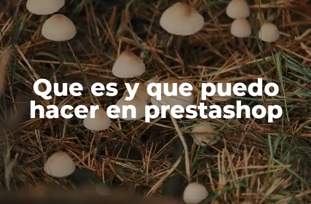 Que es y que Puedo Hacer en Prestashop