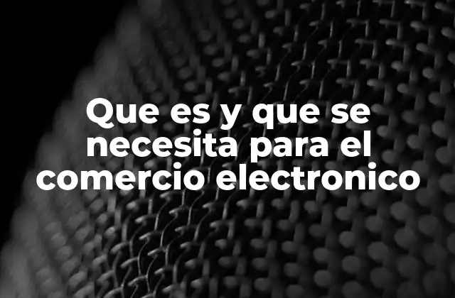Que es y que Se Necesita para el Comercio Electronico