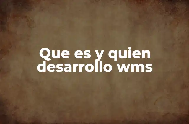 Que es y Quien Desarrollo Wms