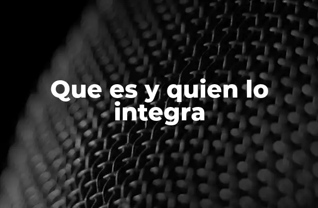 Conociendo la estructura y los actores clave