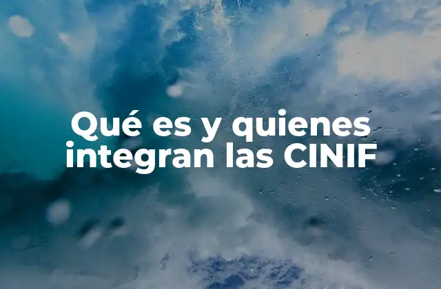 Qué es y Quienes Integran las Cinif