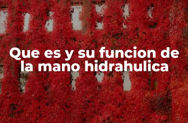 Que es y Su Funcion de la Mano Hidrahulica