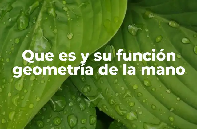Que es y Su Función Geometría de la Mano
