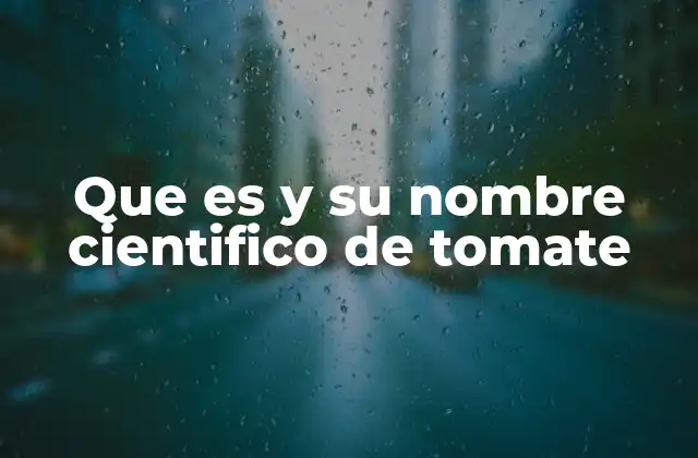 Que es y Su Nombre Cientifico de Tomate