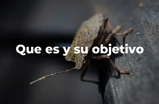 Que es y Su Objetivo