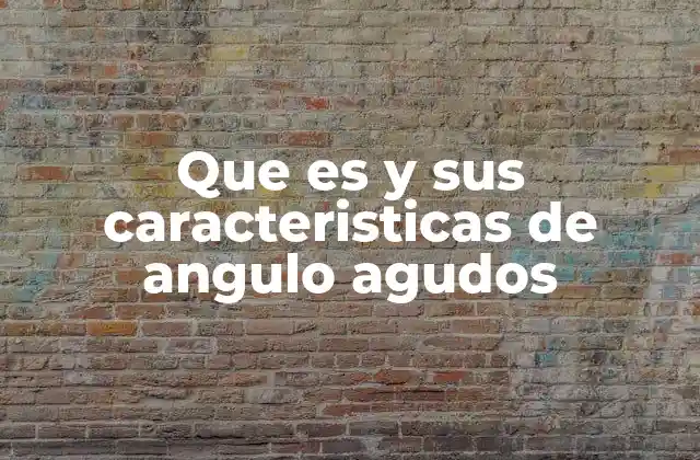 Que es y Sus Caracteristicas de Angulo Agudos