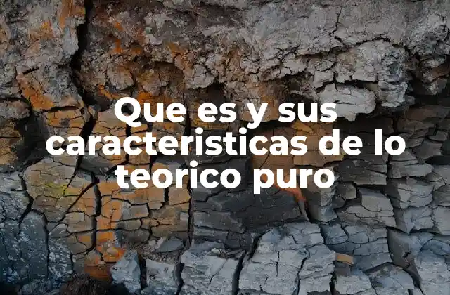 Que es y Sus Caracteristicas de Lo Teorico Puro