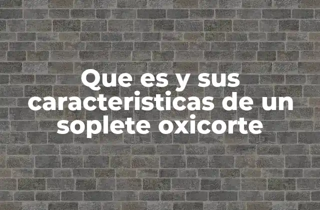 Que es y Sus Caracteristicas de un Soplete Oxicorte