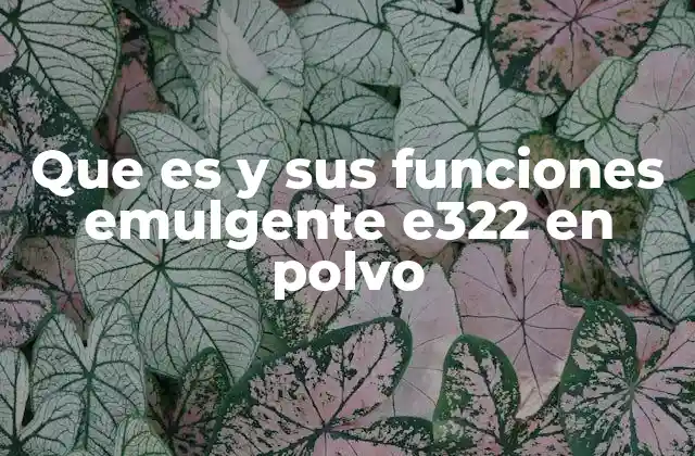 Que es y Sus Funciones Emulgente E322 en Polvo