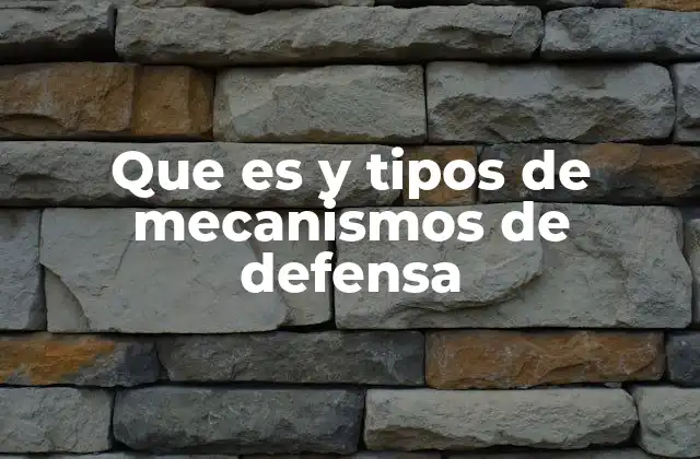 Que es y Tipos de Mecanismos de Defensa