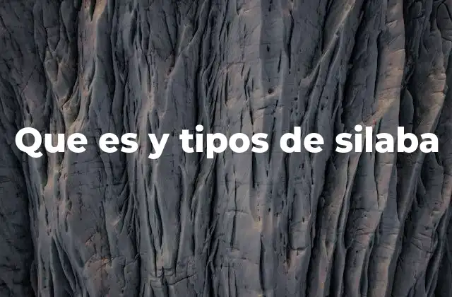 Que es y Tipos de Silaba