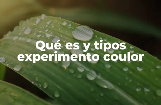 Qué es y Tipos Experimento Coulor