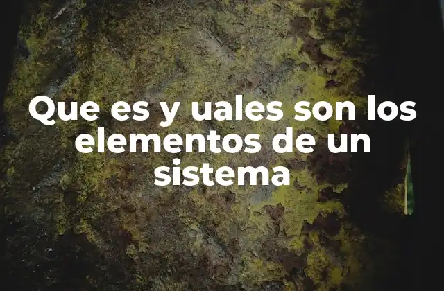 Que es y Uales Son los Elementos de un Sistema