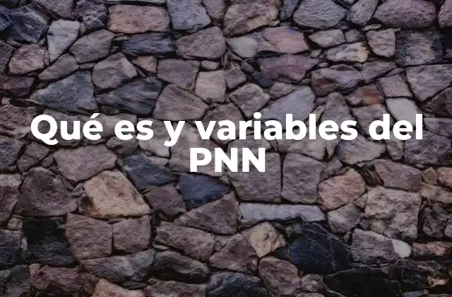 Qué es y Variables Del Pnn