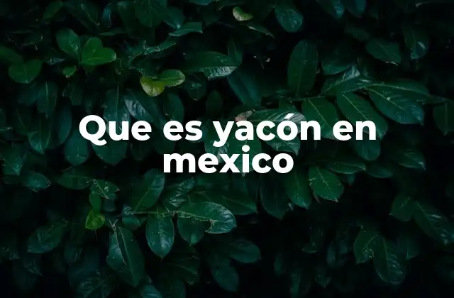 Que es Yacón en Mexico
