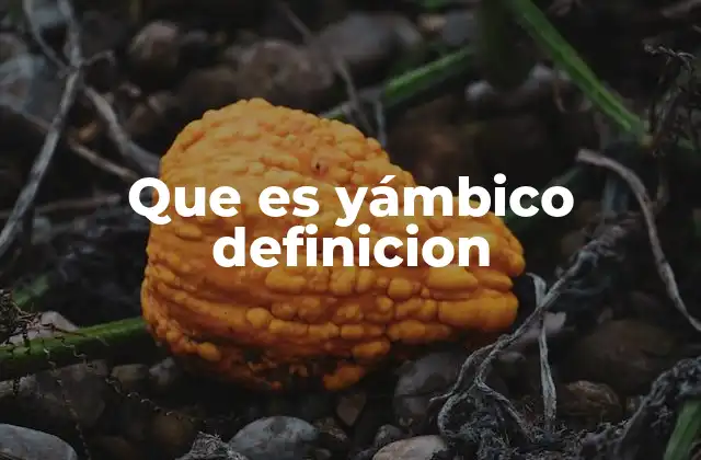Que es Yámbico Definicion