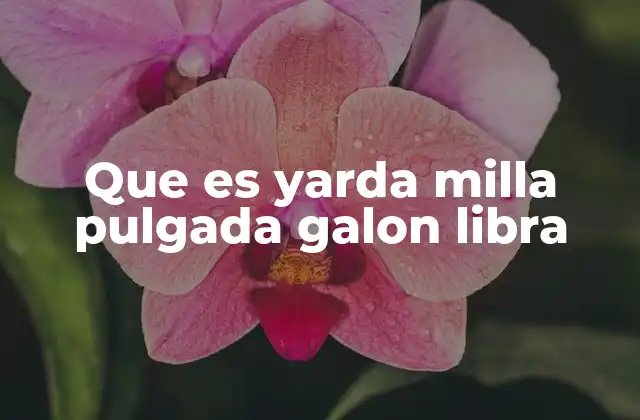 Que es Yarda Milla Pulgada Galon Libra