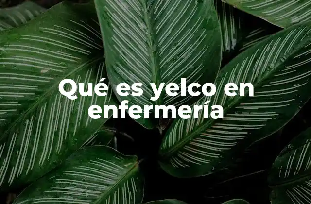 Qué es Yelco en Enfermería