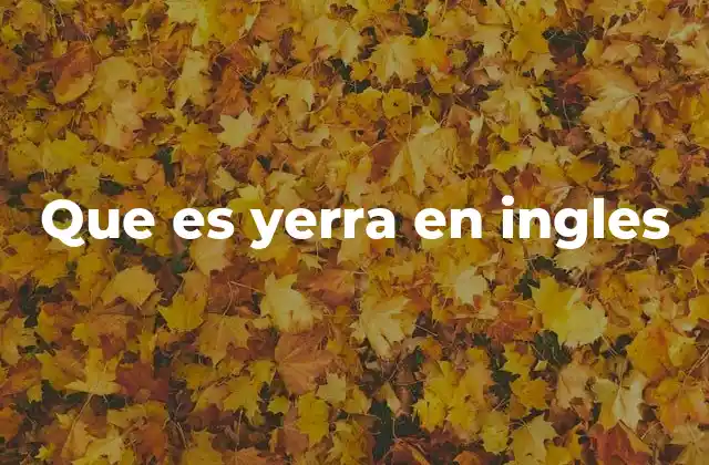 Que es Yerra en Ingles