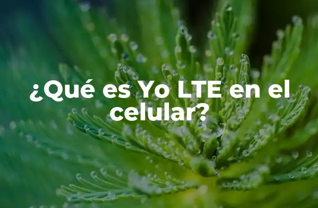 ¿qué es Yo Lte en el Celular?