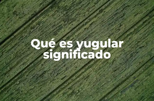 Qué es Yugular Significado