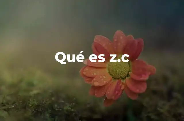 Qué es Z.c