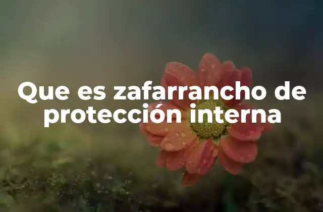 Que es Zafarrancho de Protección Interna