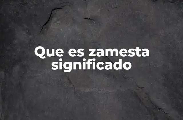 Que es Zamesta Significado
