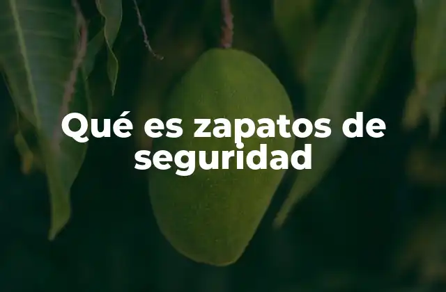 Qué es Zapatos de Seguridad