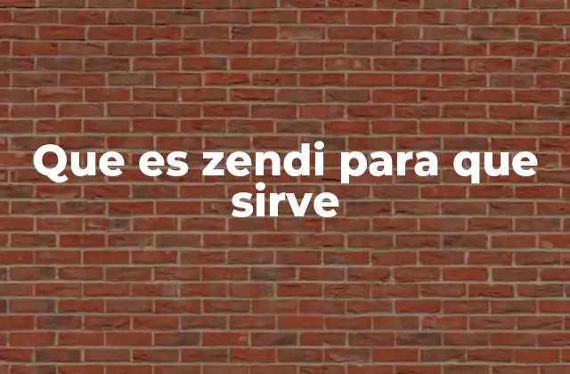 Que es Zendi para que Sirve