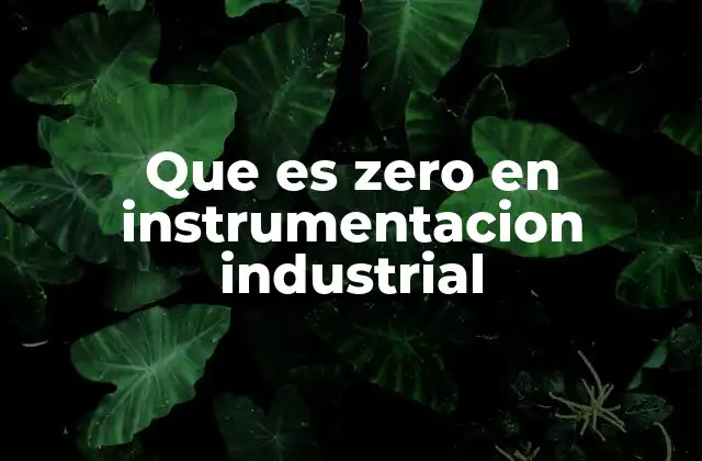 Que es Zero en Instrumentacion Industrial