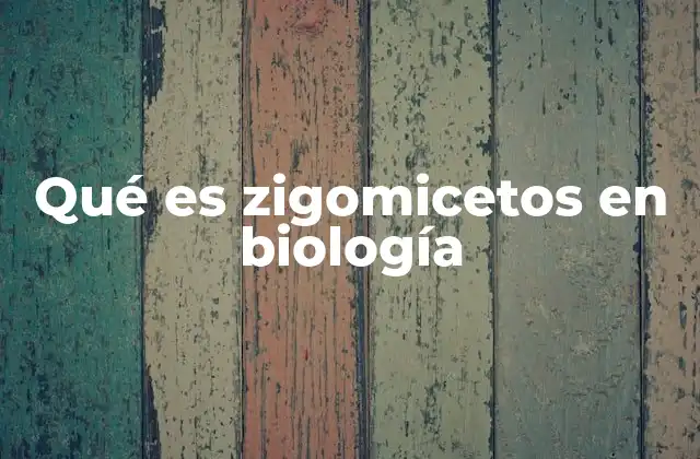 Estructura y ciclo de vida de los zigomicetos
