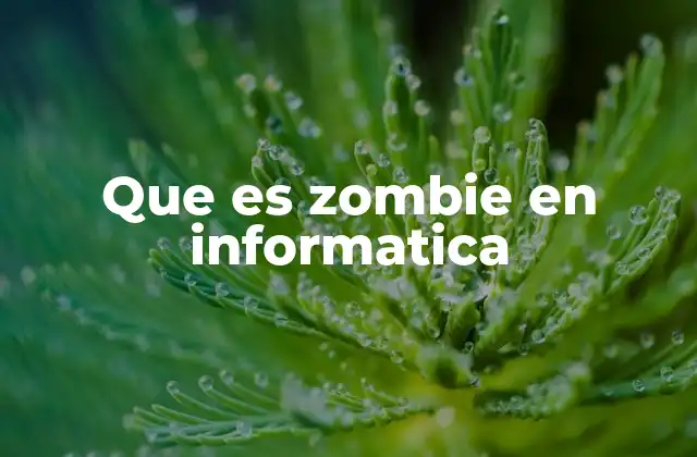 Que es Zombie en Informatica