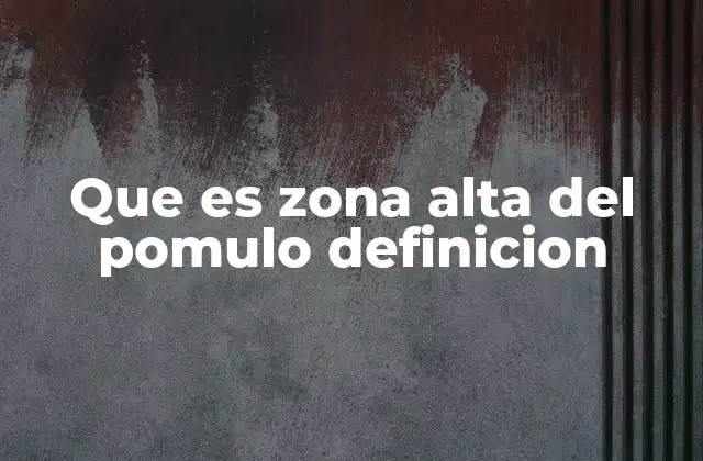 Que es Zona Alta Del Pomulo Definicion